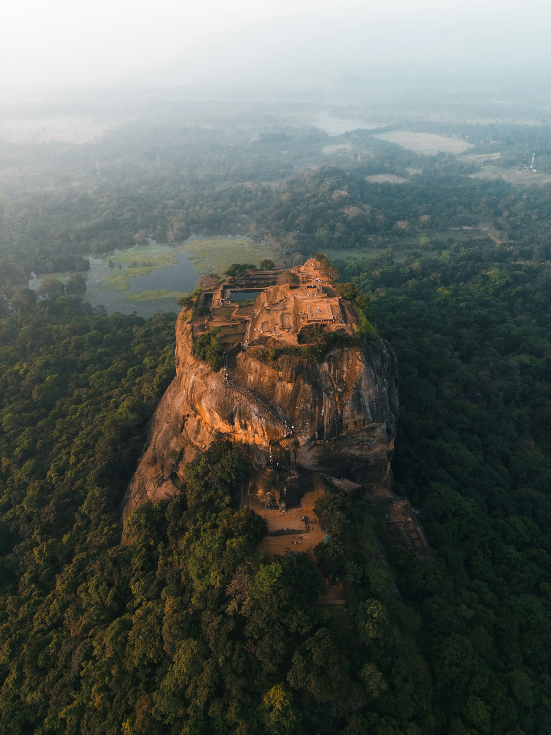 Sigiriya rock fortress rising above the forest
